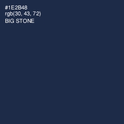 #1E2B48 - Big Stone Color Image